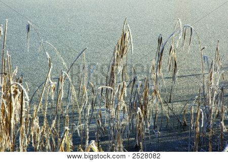 เท้าน้ำแข็งและทะเลสาบ