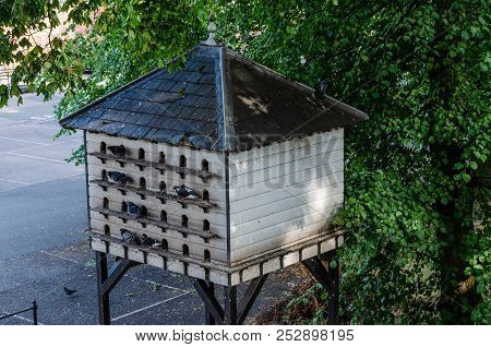 A Large Pigeon Loft Or Dovecote. Suqare In Shape And Constructed From Wood.