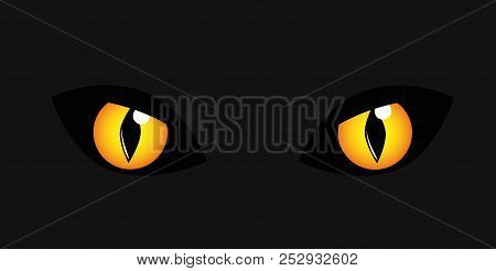 Yellow Cats Eyes In The Dark Vector Illustration Eps10