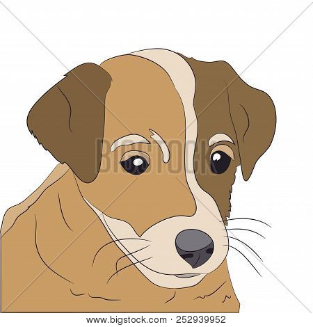 Profile Portrait Of A Dog, Look Down, Vector, White Background