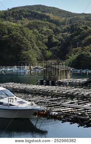The Floats Where Caged Akoya Pearl Oysters Are Suspended In This Saltwater Inlet On The Coast Of Jap