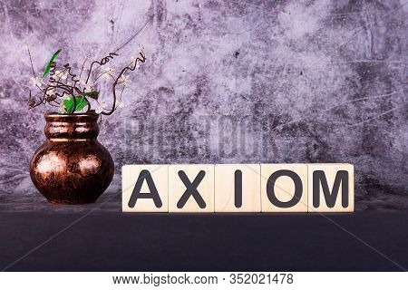 Word Axiom Made With Wood Building Blocks On A Gray Back Ground