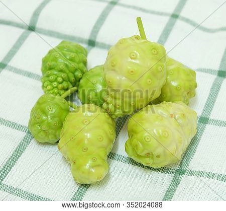Vegetable And Herb, Fresh Ripe Noni, Morinda Citrifolia, Great Morinda, Indian Mulberry, Beach Mulbe