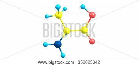Alanine Is A Non-essential Amino Acid That Occurs In High Levels In Its Free State In Plasma. 3d Ill