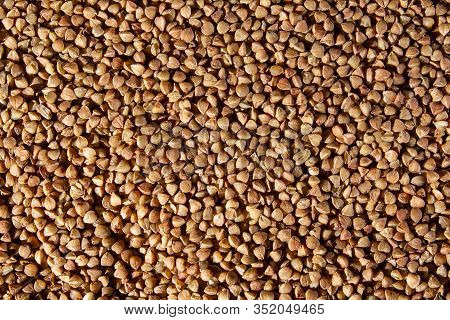Buckwheat Porridge Pattern Breakfast Food  Top View