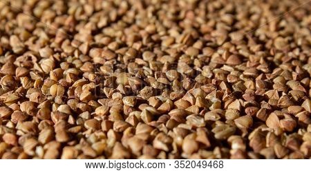 Buckwheat Porridge Pattern Breakfast Food Close Up Side View