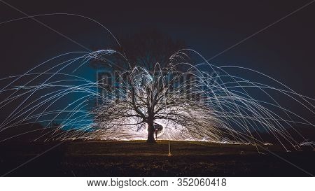 Centuries-old Solitary Tree Ripped Off By Spinning Steel Wool With Sparkle Light In The Night