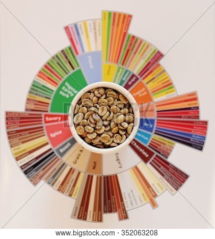 Specialty Coffee Concept. Raw Green Coffee Beans In White Cup On Tasters Flavor Wheel. Top View