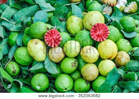 Fresh Guava Bunch In Indian Fruit Market