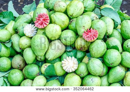 Fresh Guava Bunch In Indian Fruit Market