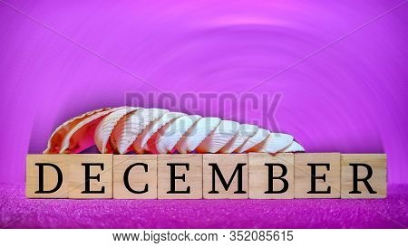 Inspirational Time Concept - Word December On Wooden Blocks With Seashells In Purple Vintage Backgro