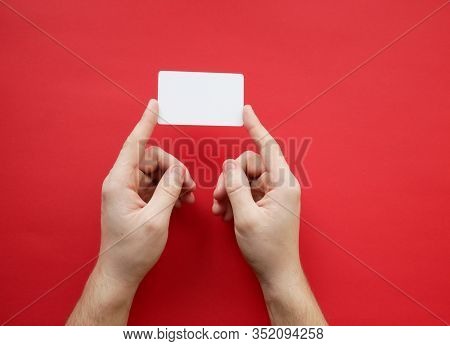 Female Hands Holding Blank White Business Card On Red Background. Top View
