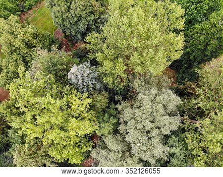 Aerial View Of Forest During Autumn Season And Colors In The Countryside Of Walloon Brabant. Belgium