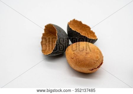 Dried Black Dialium With Shell And Half Open Isolated On White Background.