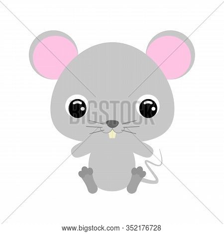 Cute Little Sitting Mouse. Cartoon Character For Baby Print Design, Kids Wear, Baby Shower Celebrati