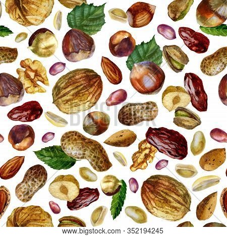 Watercolor Illustration, Walnut Pattern. Peanut. Inshell Peanuts, Peeled Peanuts, Peanut Grains In T