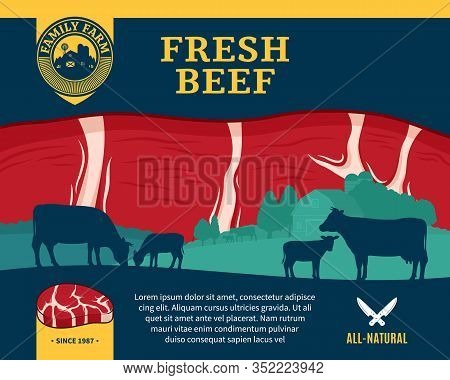 Vector Beef Illustration With Cows, Calves, Farm And Steak