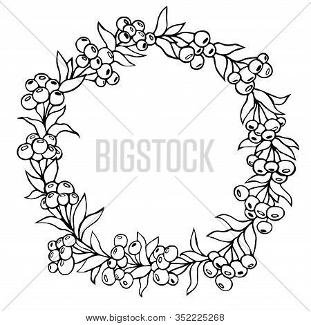 Botanical Floral Circular Frame. Vector Hand Drawn Linear Black And White Illustration. Circle Of Be