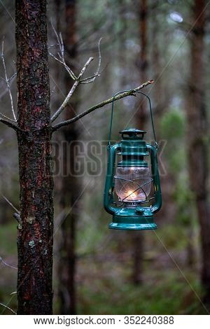 An Oil Lamp Hung On A Branch In The Forest. The Old Method Of Lighting Routes In The Forest.