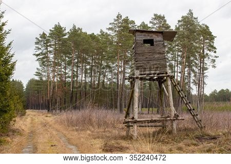 Hunting Pulpit Standing On The Edge Of The Forest. Wooden Structure For Hunting.
