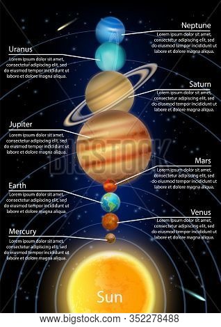 Solar System Planets In Order From The Sun, Vector Infographic