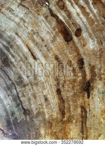 The Surface Of A Stone Wall With A Spot Of Copper Stain.