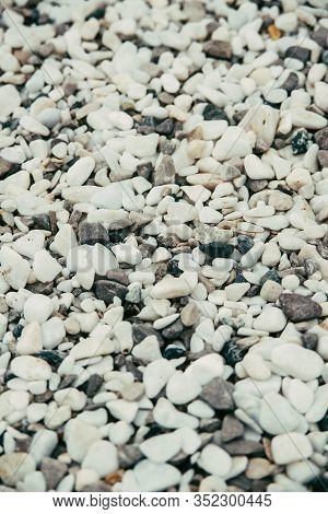 Light White And Gray Decorative Pebbles For Landscape Design, Close Up View From Angle Above Vertica