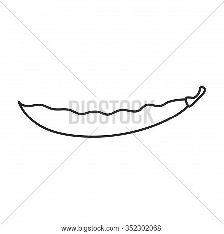 Bean Of Pod Vector Icon.outline Vector Icon Isolated On White Background Bean Of Pod.