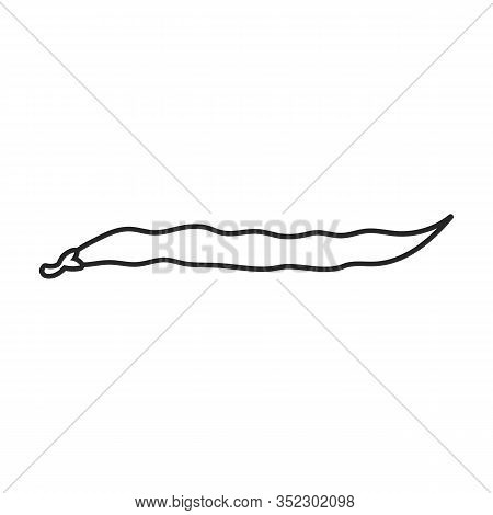 Bean Of Pod Vector Icon.outline Vector Icon Isolated On White Background Bean Of Pod.