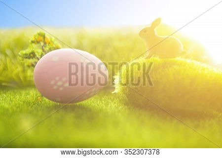 Decorated Eggs And The Easter Bunny On Meadow. Macro.