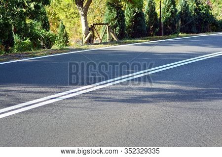 Road Street With Trees .city Rmodern Oad.