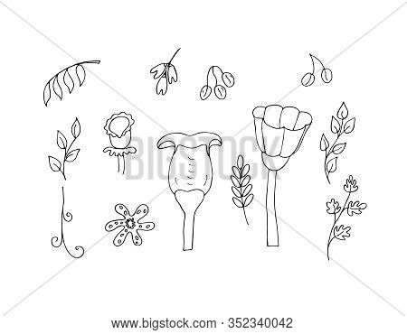 Vegetable Set For Your Design. Isolated On A White Background. Stock Vector Illustration. Black And 