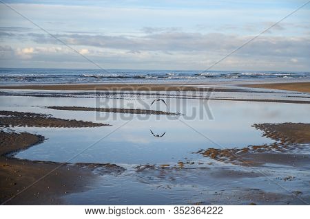 Dutch Landscape, North Sea Sandy Beach During Low Tide Near Castricum Aan Zee, Winter In Netherlands