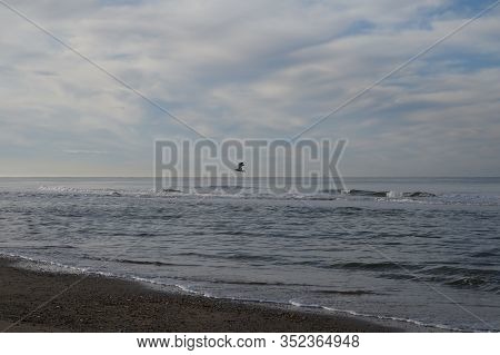 Dutch Landscape, North Sea Sandy Beach During Low Tide Near Castricum Aan Zee, Winter In Netherlands