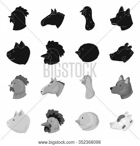 Vector Illustration Of Agriculture And Breeding Icon. Set Of Agriculture And Organic Vector Icon For