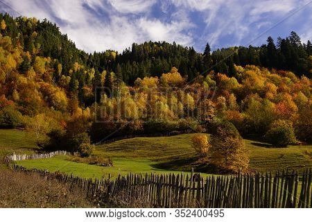 Beautiful Green Valley, Hills With Colorful Autumn Forest, Wooden Fency. Background Of Bright Blue S