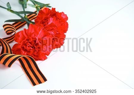 Three Red Carnations And St. George Ribbon (russian Symbol) On A White Uniform Background. Greeting