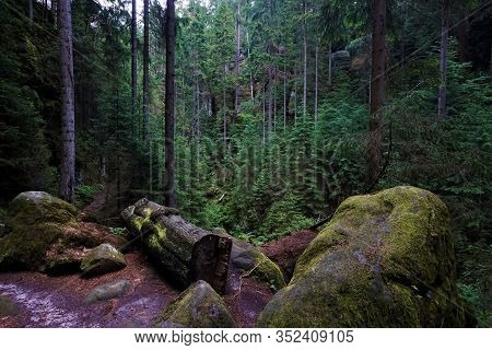 Beautiful View Over The Kirnitzschtal In Saxon Switzerland, Germany