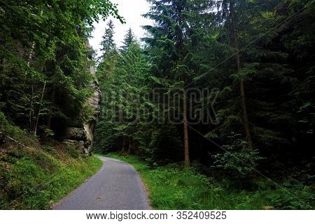 A Path Through The Forest Between Hinterhermsdorf And The Kirnitzsch Valley