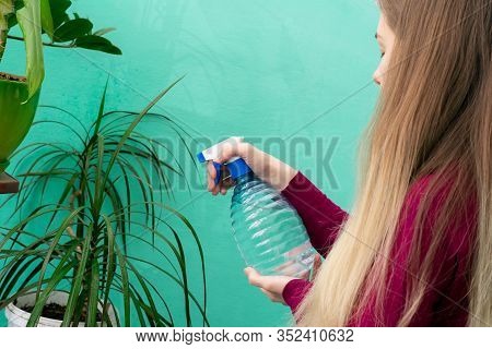 Young Girl Is Spraying Water On Leaves Of Dracaena Plant At Home. Gardener Watering House Plants Usi