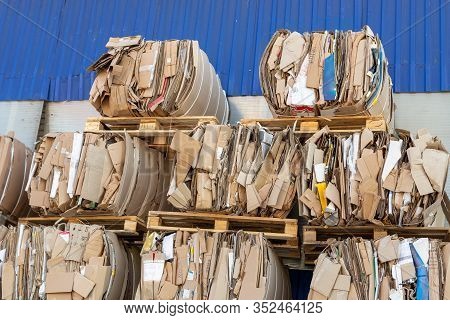 Compressed Cardboard And Used Paper Wrap Collected In Stacks With Forklift For Recycling And Reiuse.