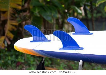 Newer style foam surfboard 2020s style