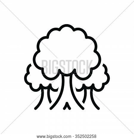 Black Line Icon For Tree Plant  Foliage Greenstuff Sapling Seedling Timber Ecology Nature Forest