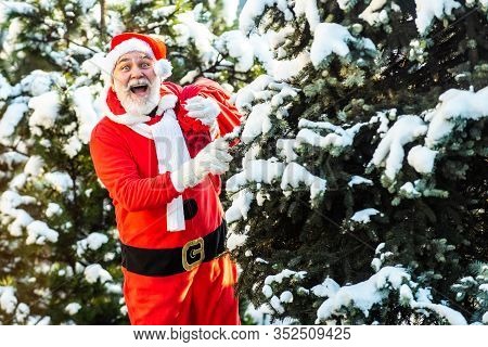 Santa Claus In Red Costume Walk In Winter Forest. Wish You Merry Christmas. Father Christmas Brings 