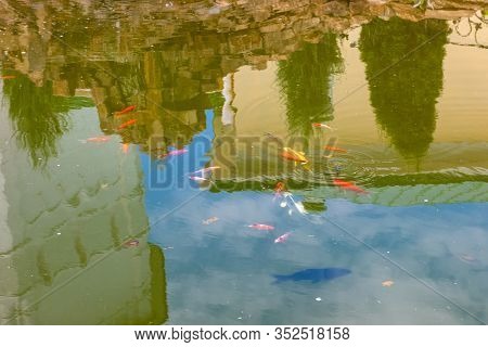 Fish In The Pond In The Nikolo-peshnoshsky Monastery