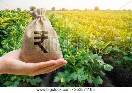 Money Bag On The Background Of Agricultural Crops In The Hand Of The Farmer. Agricultural Startups. 