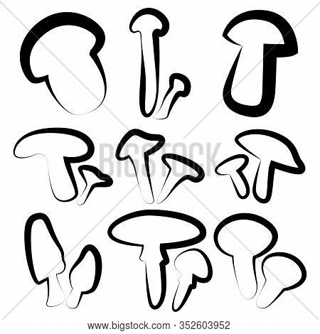 A Set Of Nine Different Mushrooms. Creative Art. Volnushki, Russula, Morel, Valuy, Etc. Vector Illus