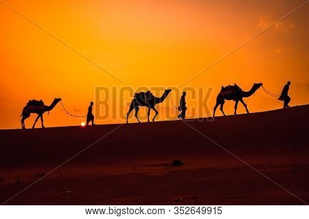 Cameleers, camel Drivers at sunset. Thar desert on sunset Jaisalmer, Rajasthan, India.