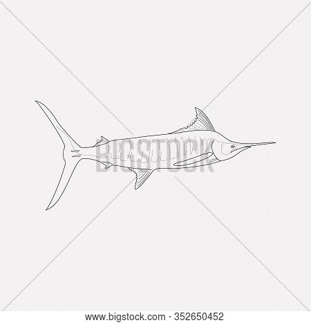 Marlin Icon Line Element. Vector Illustration Of Marlin Icon Line Isolated On Clean Background For Y