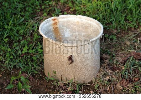 Dirty Dilapidated Old White Plastic Bucket With Broken Edge Left In Local Home Garden Surrounded Wit
